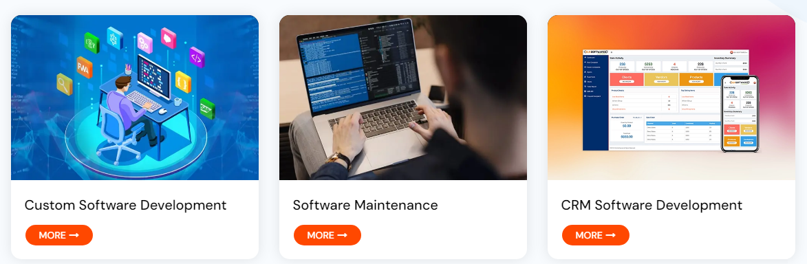 software development